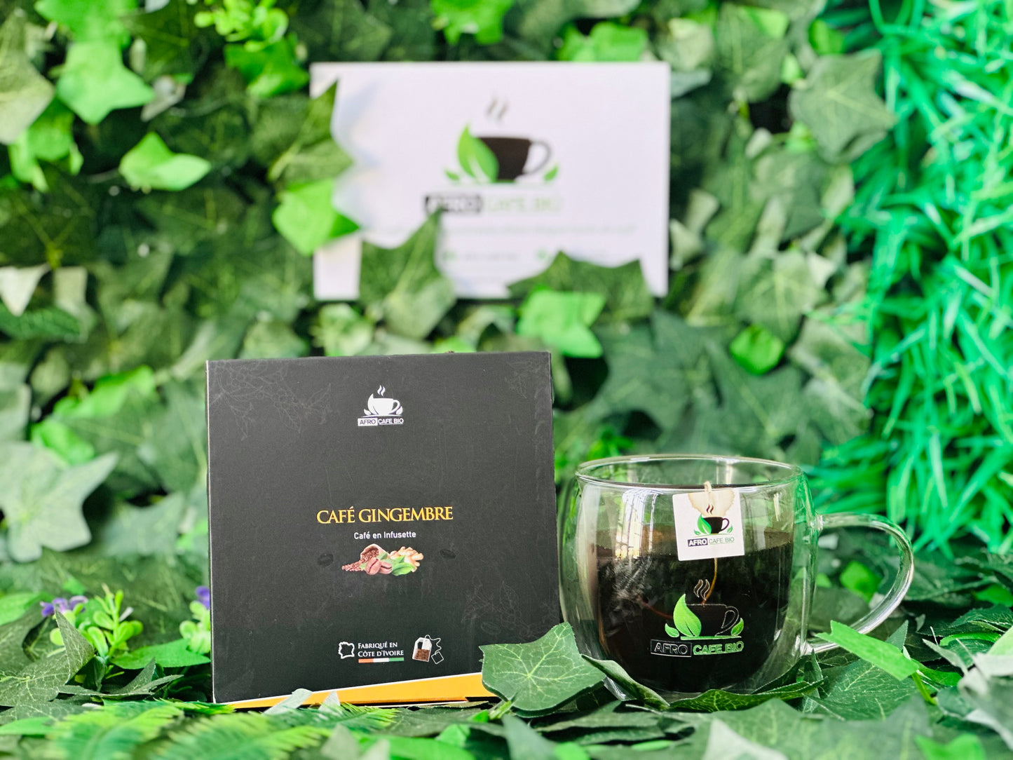 Café ginger infusette