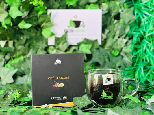 Café ginger infusette
